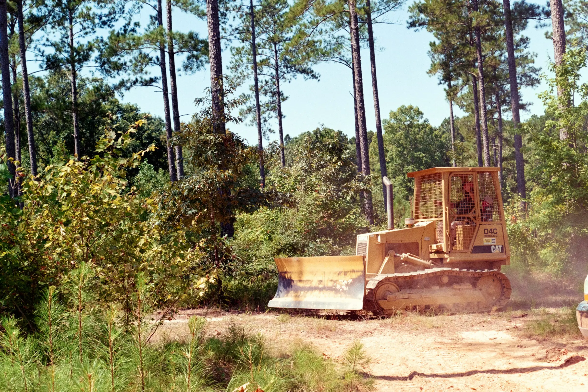 Cleared wooded lot with felled trees and brush removed